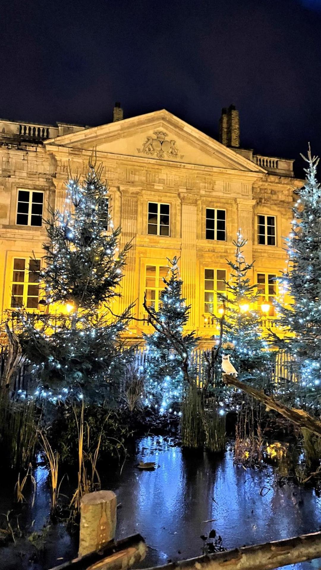 Cocon Lumineux Proche De La Ville Fortifiee Et De Nausicaa Boulogne-sur-Mer Eksteriør bilde