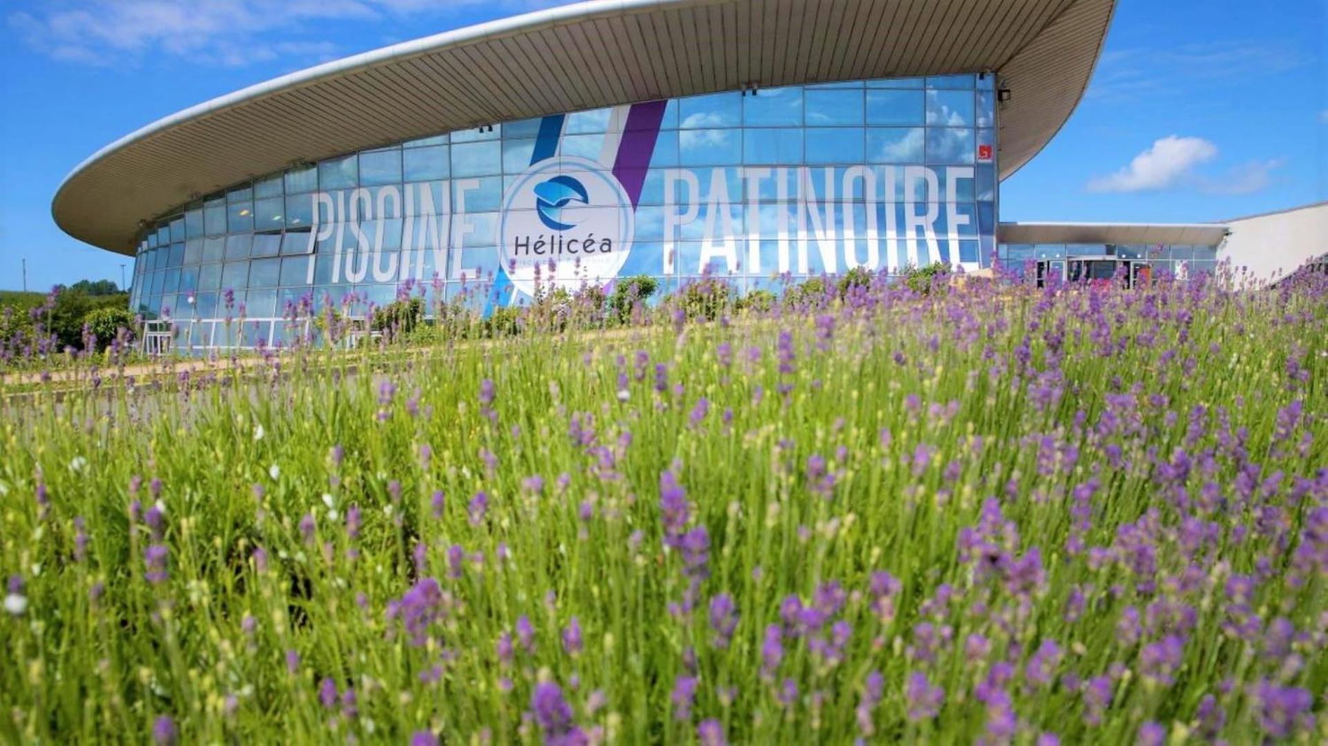Cocon Lumineux Proche De La Ville Fortifiee Et De Nausicaa Boulogne-sur-Mer Eksteriør bilde
